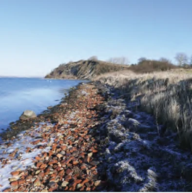 A winter Baltic shoreline where a long bank of broken red brick meets frost-covered grass and pale blue water, with a low headland beyond.